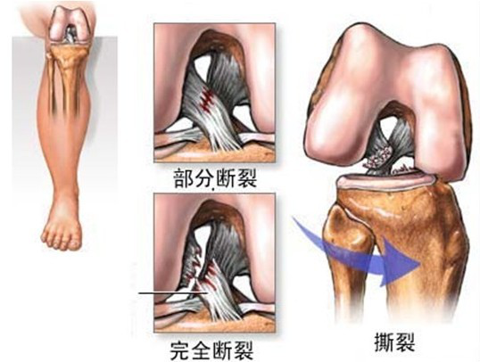 微信图片_20200715153712.png
