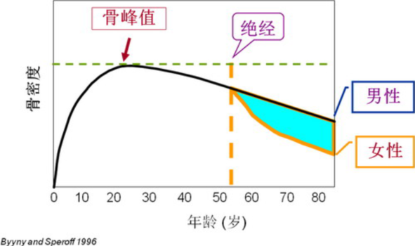 1666750115828749.png 640.png